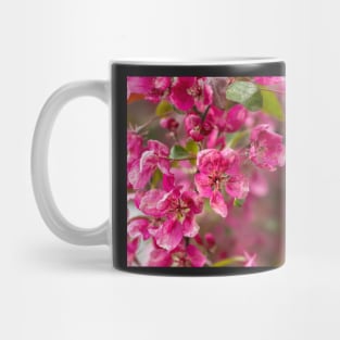 Apple blossom Mug